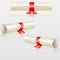 Set scrolls with red ribbon