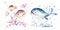 Set of sea animals. Blue watercolor ocean fish, turtle, whale and coral. Shell aquarium background. Nautical marine hand