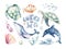 Set of sea animals. Blue watercolor ocean fish, turtle, whale and coral. Shell aquarium background. Nautical wildlife