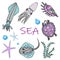 Set of sea animals. Skat, squid, turtle, starfish and shell