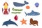 Set of sea animals - squid sperm whale shark dolphin starfish fur seal . Undersea world habitants print.