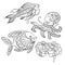 Set of sea animals in vector graphic illustration in coloring p