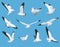 Set of Sea Bird and Seagull Vector