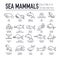 Set of sea mammals thin line icons, pictograms.