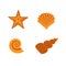 Set of sea ocean shells, starfish, underwater world, sea star. Beach, summer. Vector orange illustration isolated on white in flat