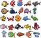 Set of sea and ocean underwater animals. Cute aquatic turtle, whale, narwhal, dolphin, octopus and colorful fishes