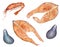 Set of seafood, watercolor illustration