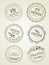 Set of seals, logo food safety, vector