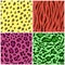 Set of seamless animal fur bright color patterns, vector feline or cat background