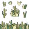 Set of seamless border, group and different types of cacti.