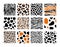 Set of seamless pattern with black jaguar leopard zebra tiger lion animal skin print