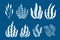 Set of seaweed icons. Marine plants are isolated