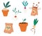Set of Seedlings. Seeds, fertilizers, seedlings, pot with sprouts, root crops. Growing plants in containers. Gardening, spring