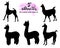 Set of several silhouettes of llamas and alpacas realistic and stylized on a white
