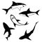 Set of Shark. Ocean fish. Vector illustration.