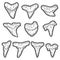 Set, shark teeth. Engraving vector illustration. Sketch scratch