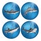 A set of sharks illustration.. Vector illustration decorative background design