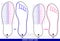 Set of shoes chart size or socks chart size or measurement foot chart concept.