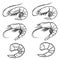 Set of shrimps icons isolated on white background. Seafood. Design elements for logo, label, emblem, sign, brand mark.