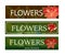 Set of signs for a flower shop. Green and brown backgrounds
