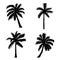 set of silhouette coconut trees, natural sign, vector illustration