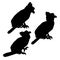 Set silhouette harpy bird in profile vector illustration