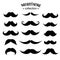 Set of Silhouette Mustache icon