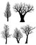 Set of silhouettes of bare trees on a white background.