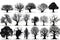 Set Silhouettes Of Black Tree Crowns On White Background, Halloween. Generative AI