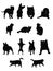 Set silhouettes of dogs and cats in different positions.