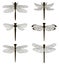 Set of silhouettes of dragonflies