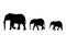 Set of silhouettes of elephants mom and babies isolated on white.