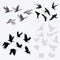 Set of silhouettes of flocks of birds. Collection of contours of birds. Vector illustration.