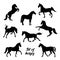 A set of silhouettes of horses, black images isolated