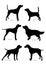 Set of silhouettes of hunting dogs