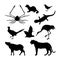 Set of silhouettes of Japanese animals. Black tiger, crane and pheasant on a white background