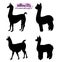 Set of silhouettes of llamas isolated on white