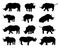 Set of silhouettes of rhinoceros isolated on white background