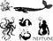 Set of silhouettes of sea mythological creatures: neptune, kraken, mermaid, echeneis