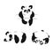 Set of silhouettes of sitting panda cubs. Panda slipping and playing.