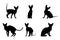 Set of silhouettes of sphynx cats vector design