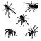 Set of silhouettes of spider. Tarantula glyph icon collection. Vector isolated on white