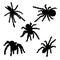 Set of silhouettes of spider. Tarantula icon collection. Vector isolated on white