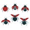 Set of simple flat beetle with different wings collection insects flat vector illustration isolated on white background