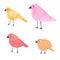 Set of simple funny colorful birds