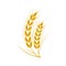 Set of simple wheats ears icons and wheat logo design elements for beer, organic fresh food corn farm, bakery themed