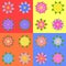 Set of sixteen different colors of flowers isolated on a colored background