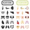 Set of sixteen human organs and anatomic parts color and black flat icons