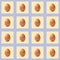 Set of sixteen realistic brown chicken eggs