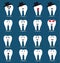 Set of sixteen tooth icons